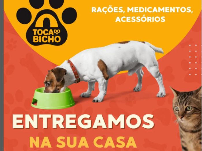 toca do bicho