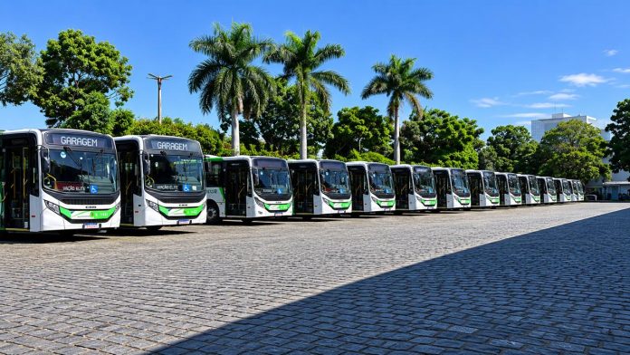 viação elite
